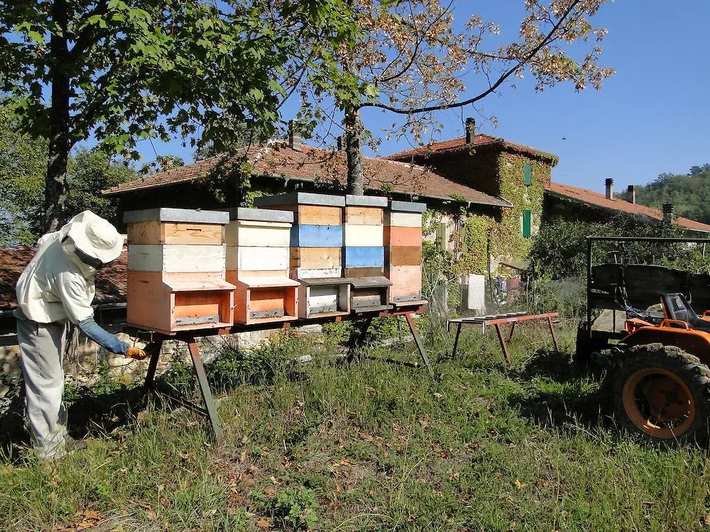 Casanuova Villa Tizzano Val Parma